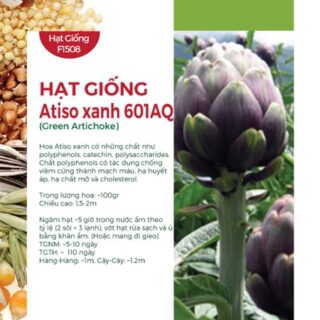 Hạt Giống Atiso Đà Lạt Tím 601AQ Hạt giống cây