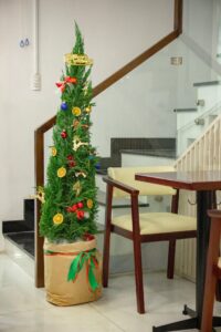 Một Số Ý Tưởng Tự Thiết Kế Cây Thông Noel Tại Nhà Bán cây cảnh Cây không khí Dịch vụ cây xanh Thiết kế Trang trí  Một Số Ý Tưởng Tự Thiết Kế Cây Thông Noel Tại Nhà 
